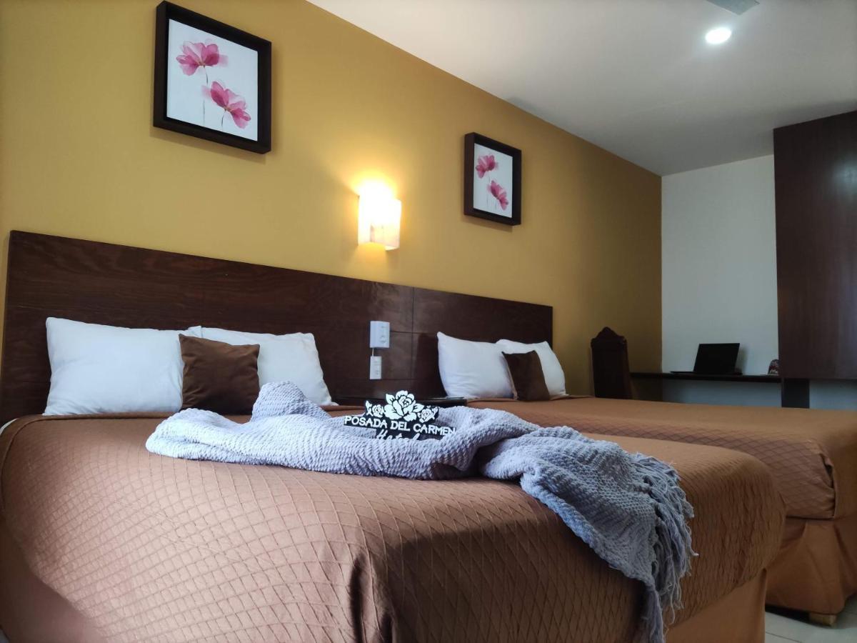 Posada Del Carmen Aguascalientes Ngoại thất bức ảnh